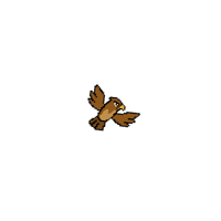 8bit Skooly Hawk